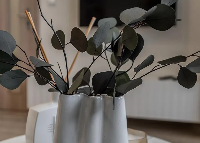 Your Ludmanska Apartment